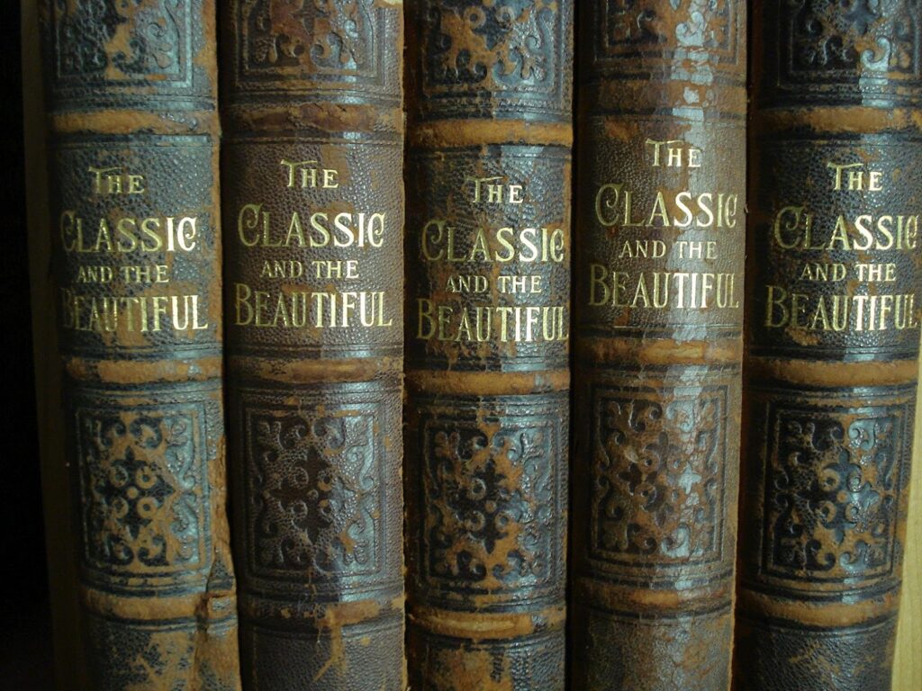 classic beautiful literature leather bindings