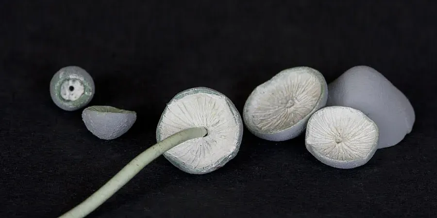 Sculpting stalks for the mushrooms - step-by-step scenic base tutorial by Minichix Studio