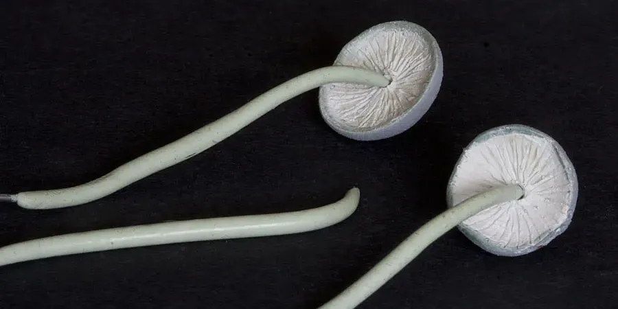 Securing the stalks to the mushroom caps - step-by-step scenic base tutorial by Minichix Studio