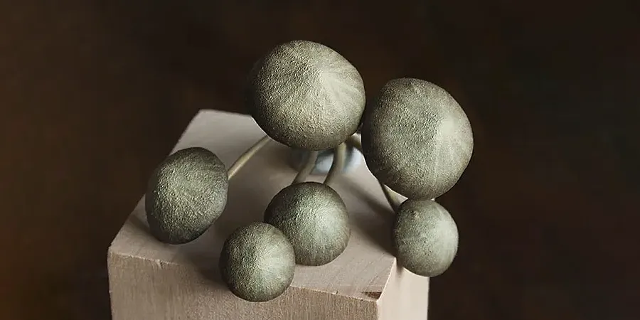 Finished handmade mushrooms ready to be attached to the scenic base - step-by-step miniature base tutorial by Minichix Studio