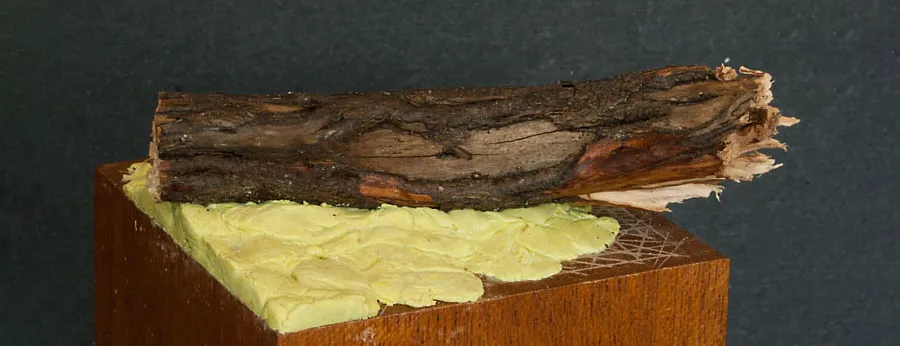 Tree trunk made from Heather branch - Minichix Studio tutorial on building scenic bases.
