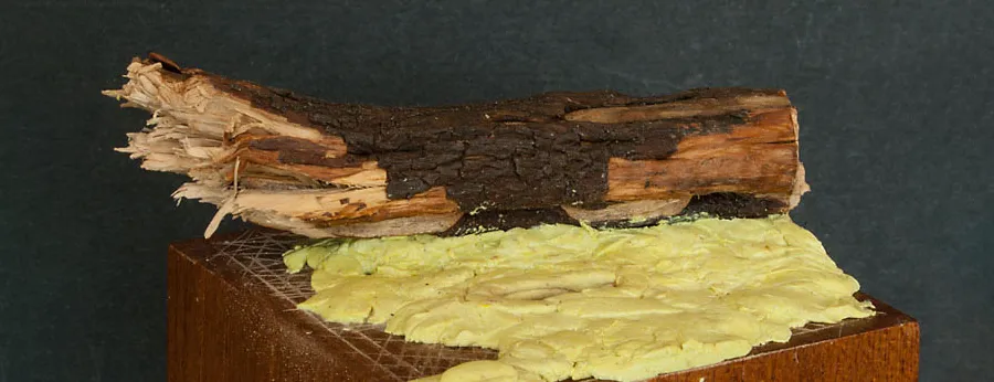 Tree trunk made from Heather branch with visible damage on one end - Minichix Studio tutorial on building scenic bases.