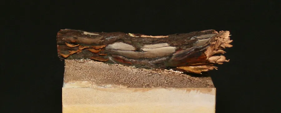 Adding miniature mushroom to the fallen log - back of the base - Minichix Studio tutorial on building scenic base.