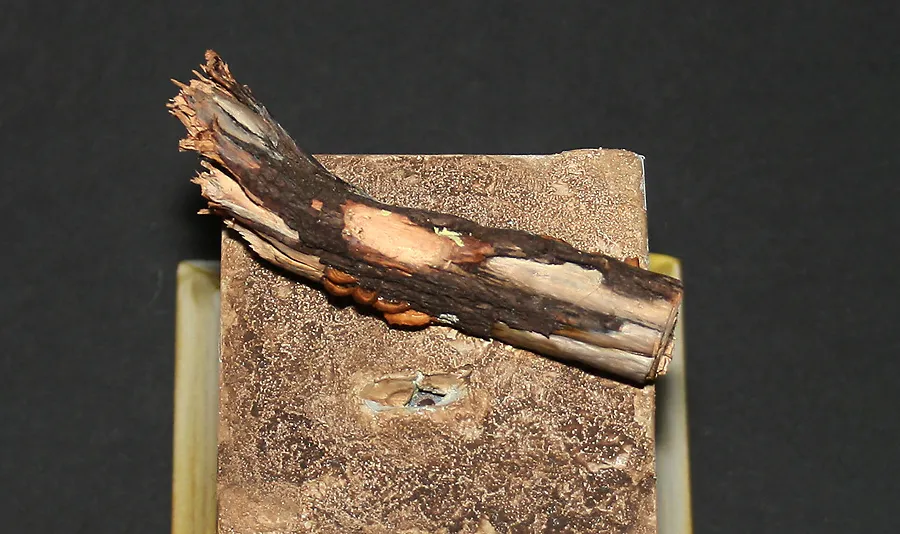 Preparing to mount the miniature onto the miniature base - Minichix Studio tutorial on building scenic base.