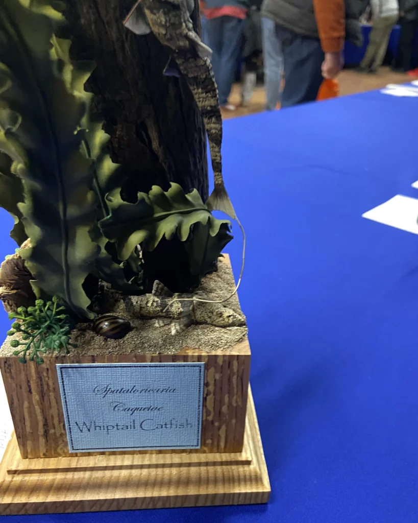 Minichixstudio miniature painting competition Cheshire Military photo100