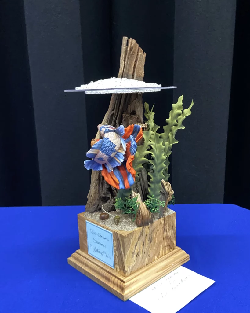 Minichixstudio miniature painting competition Cheshire Military photo91