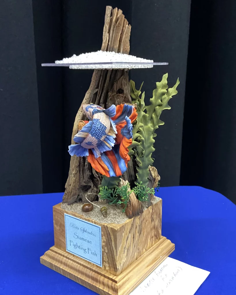 Minichixstudio miniature painting competition Cheshire Military photo97