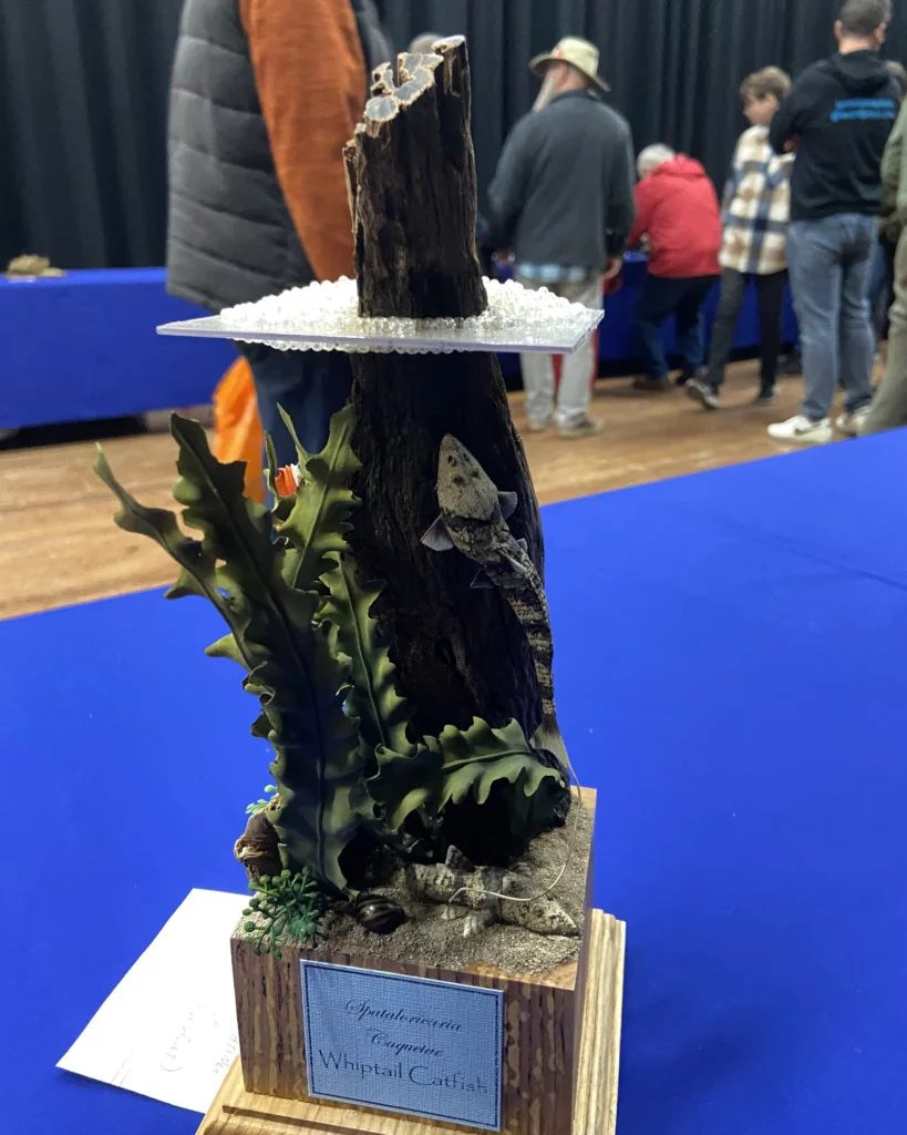 Minichixstudio miniature painting competition Cheshire Military photo98