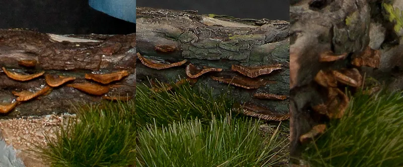 Close-up of mushrooms on a scenic base - Minichix Studio tutorial on building miniature bases.
